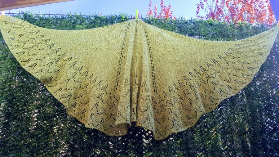 Mi proyecto chal Fuego de Dragon