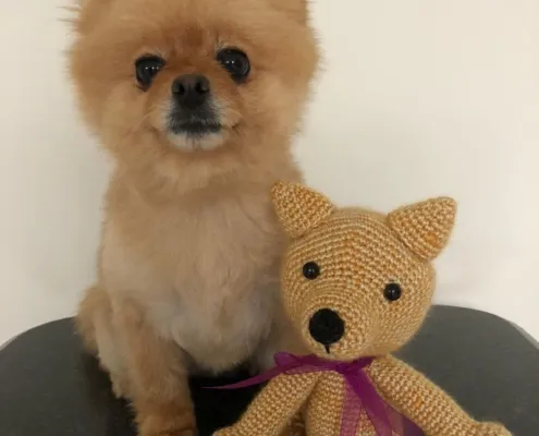 Australia y los amigurumis en mi blog de punto y ganchillo