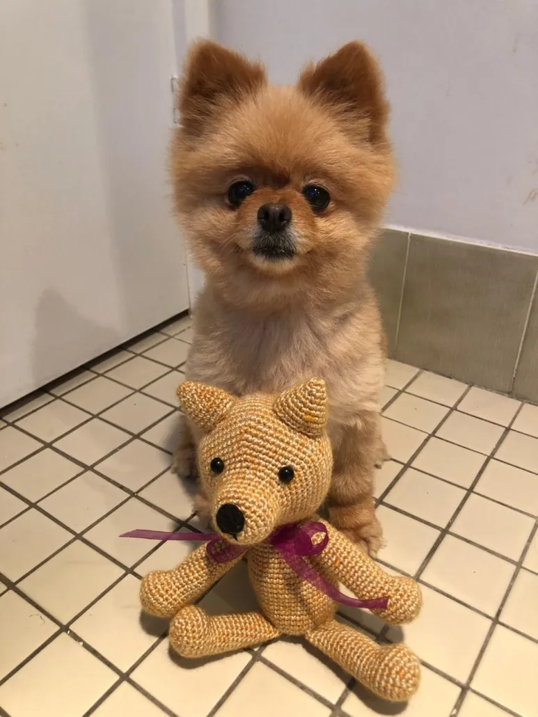 Australia y los amigurumis