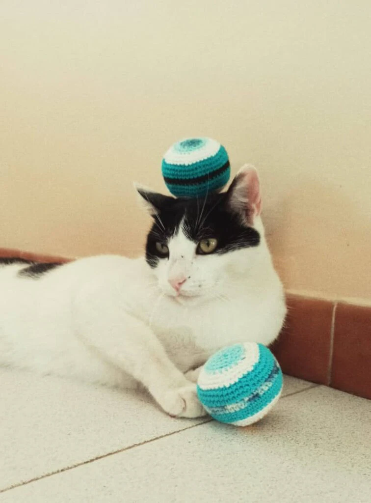 Patrón gratis bola Haki crochet