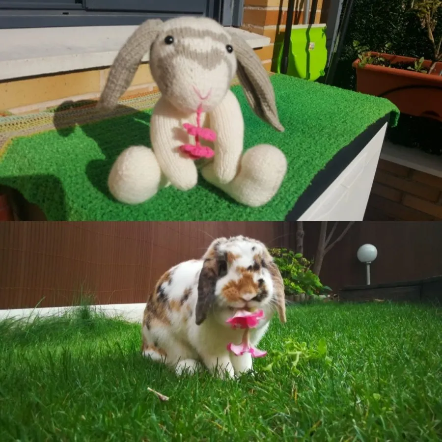 Patrón gratis conejo Teo