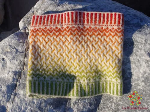 patro gratis cuello a dos agujas