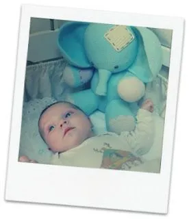 Patrón gratis elefante amigurumi crochet