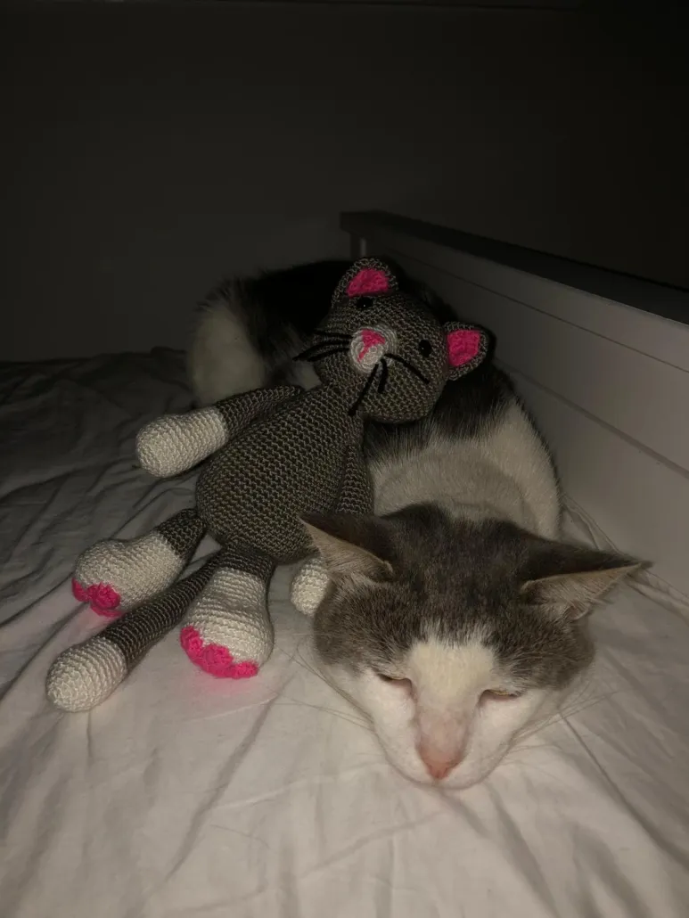 Australia y los amigurumis