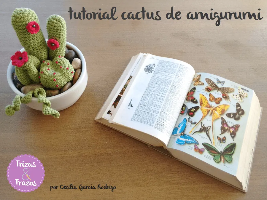Patrón gratis maceta cactus amigurumi