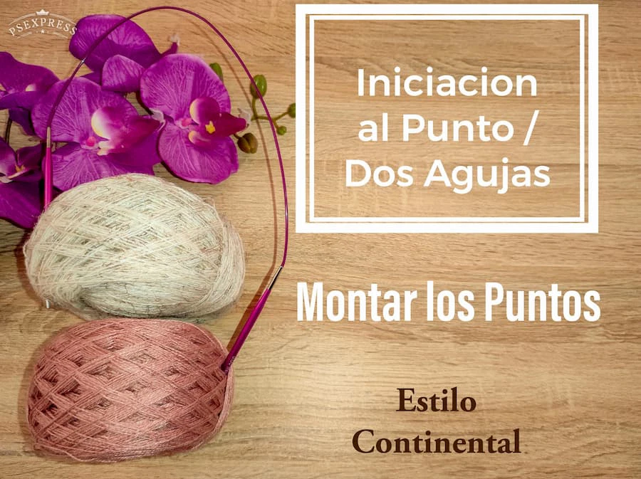 Montar puntos estilo continental dos agujas