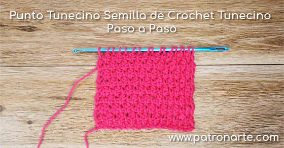 Punto tunecino semilla