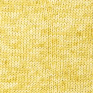 print 23 sueño diente de león